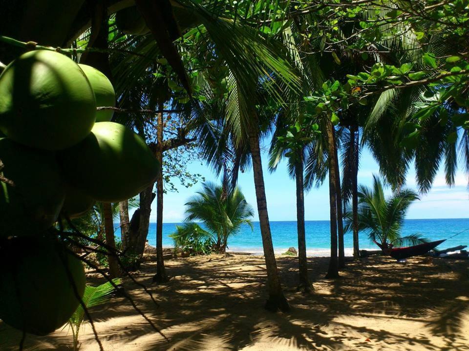 Arrecife Punta Uva Ξενοδοχείο Εξωτερικό φωτογραφία
